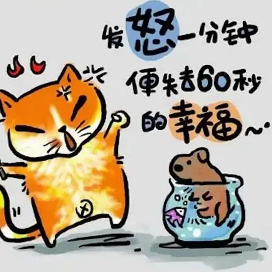 灌篮高手
